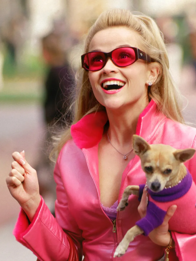 Reese Witherspoon Brings Elle Woods Back For Legally Blonde Prequel