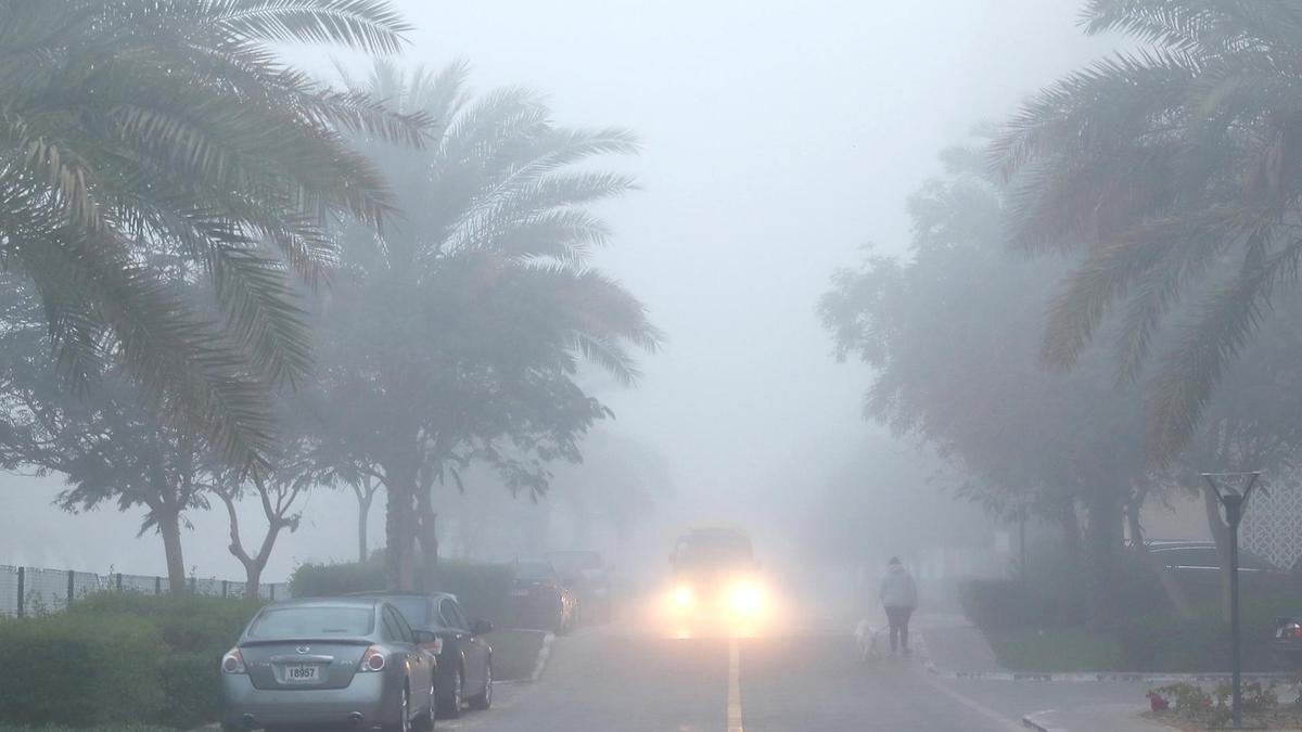 UAE Weather Fog Covers Dubai and Abu Dhabi on Sunday Morning, Alert