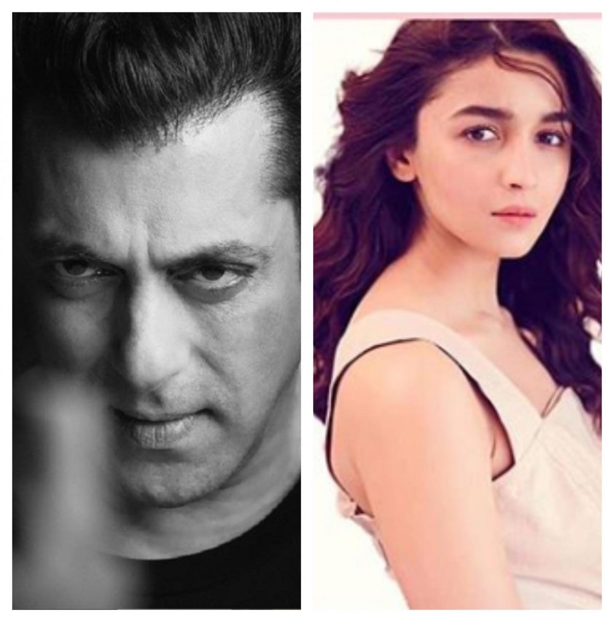 Salman Khan Alia Bhatt Starrer Inshallah To Get Second Female Lead Who Could It Be Masala 7973