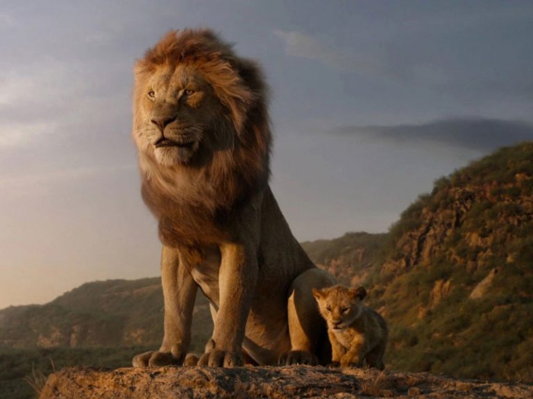 Mufasa: The Lion King: Prequel To Loved 2019 Film Announced