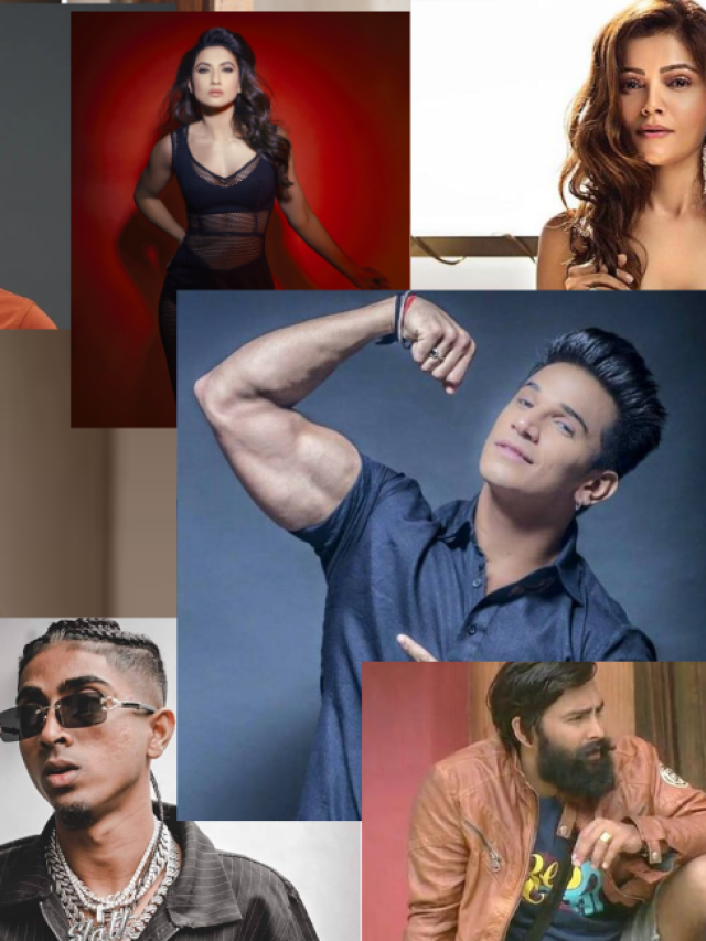 5 Bigg Boss contestants who made their way in the industry - Masala