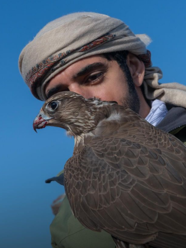 10 Times HH Sheikh Hamdan Shared His Love Of Animals On Social Media ...