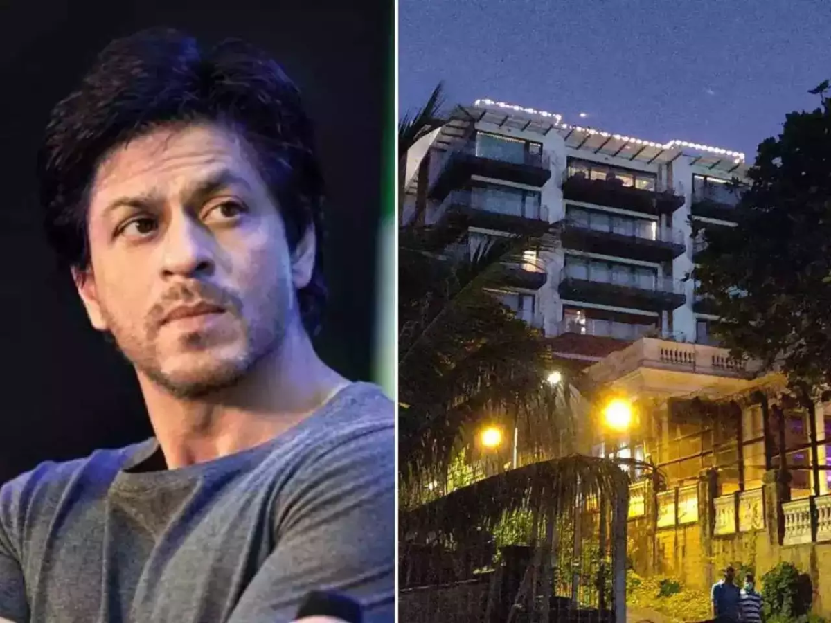 Read What Shah Rukh Khan Said When A Fan Asked If There Are Lizards In ...