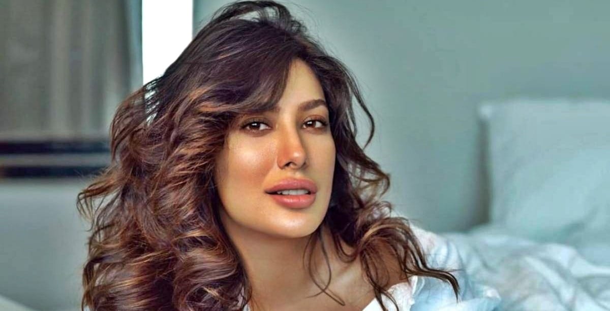 The real reason why Pakistani star Mehwish Hayat REJECTED Bollywood ...