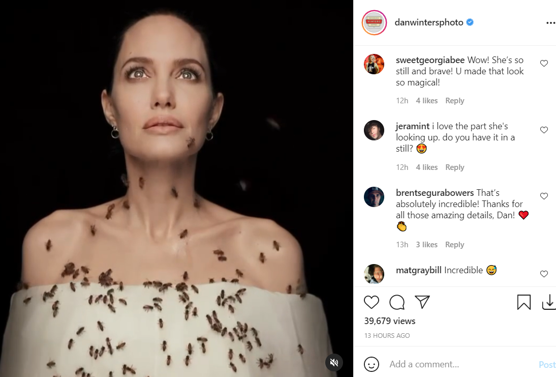 Watch Angelina Jolie S 18 Minute Long Photoshoot With Bees Is Breaking The Internet Masala Com